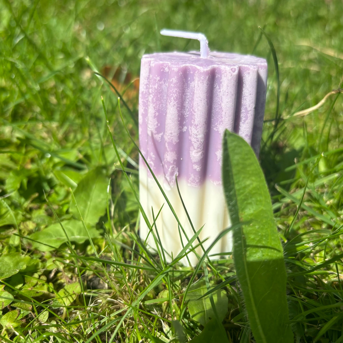 Blackcurrant Pillar Candle