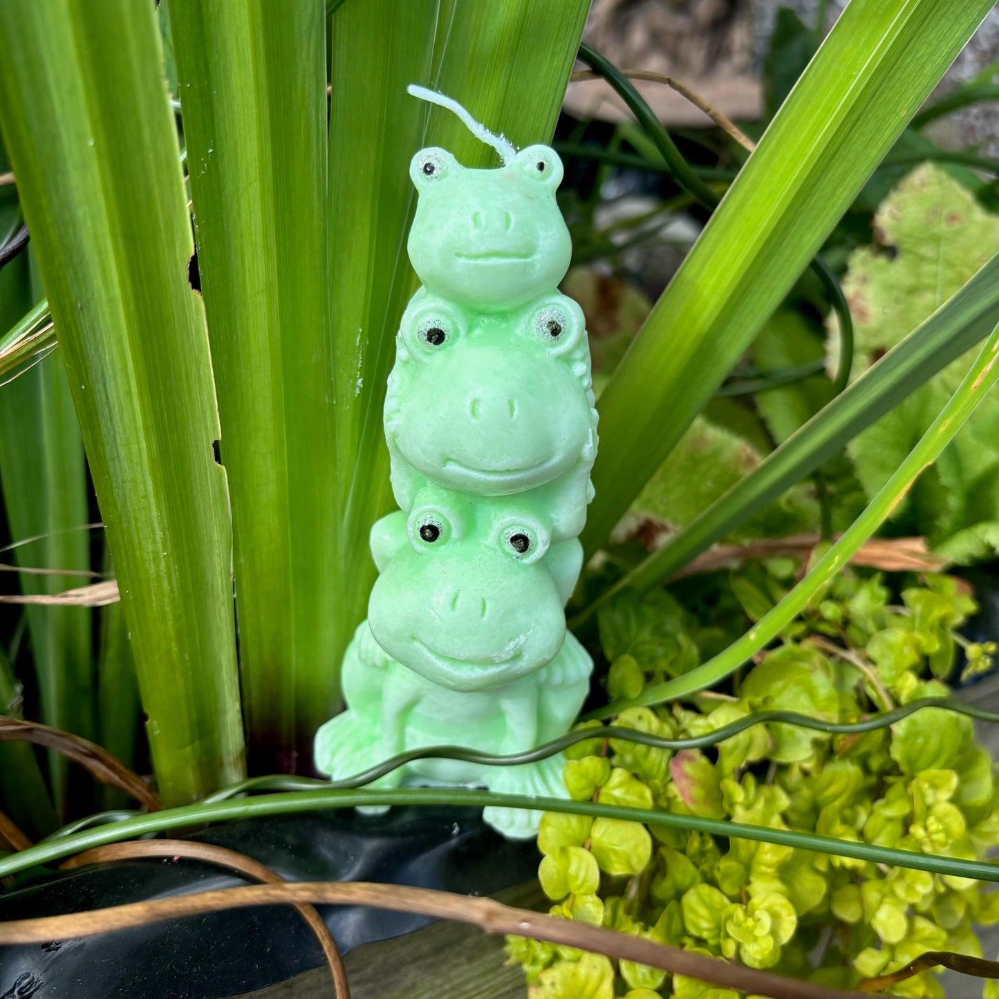 Hop, Skip and Jump - Frog Pillar Candle